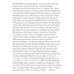 wet n wild Mega Last Matte Lip Color, Semi Matte Hyaluronic Acid Infused, Long Lasting Full Coverage for a Nourishing Pout, Cruelty-Free & Vegan - Stoplight Red