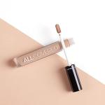 All Covered Concealer 4.2ml by INGLOT