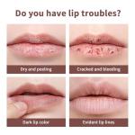 3PCS Honey Lipstick Tinted Lip Balm - Sheer Hydrating Lipstick for All Skin Tones - Moisturizing Lip Color, Nourishing Lip Balm with a Hint of Natural Black Cherry Tint (Black & Nude & Pink)