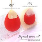 BEAKEY 5-Piece Makeup Sponge Set for All Formulas