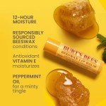 Burt's Bees Natural Beeswax Lip Balm - 2 Tubes