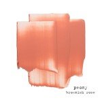 Stila Convertible Color Lip and Cheek Cream