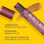 Burt's Bees Shimmer Lip Tint Set - Fig 4 Pack