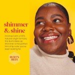Burt's Bees Shimmer Lip Tint Set - Fig 4 Pack