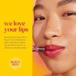 Burt's Bees Shimmer Lip Tint Set - Fig 4 Pack