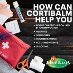 Dr. Dan's Healing Lip Balm for Chapped Lips