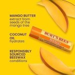 Burt's Bees Moisturizing Lip Balm 4-Pack
