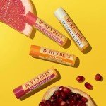 Burt's Bees Moisturizing Lip Balm 4-Pack