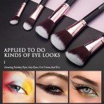 16-Piece Premium Makeup Brush Set with Case