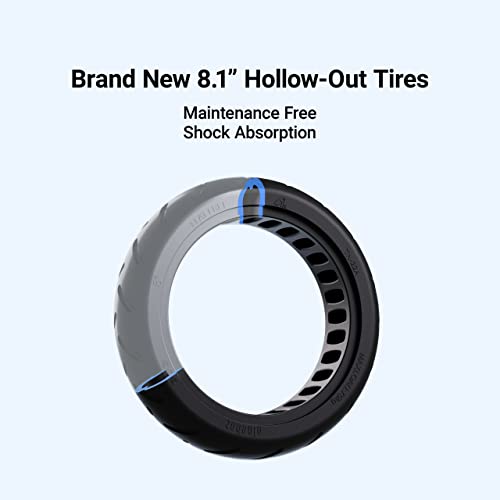 Segway Ninebot E2 Electric KickScooter - 250W Motor