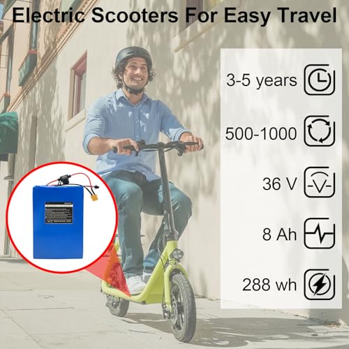 High Capacity 36V 8000mAh Electric Scooter Battery
