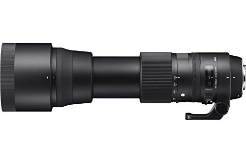 Sigma 150-600mm Contemporary Canon Lens - Black