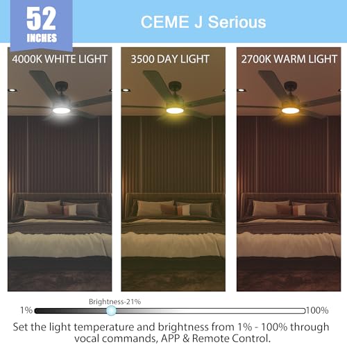 Smart Ceiling Fan with Alexa Compatibility