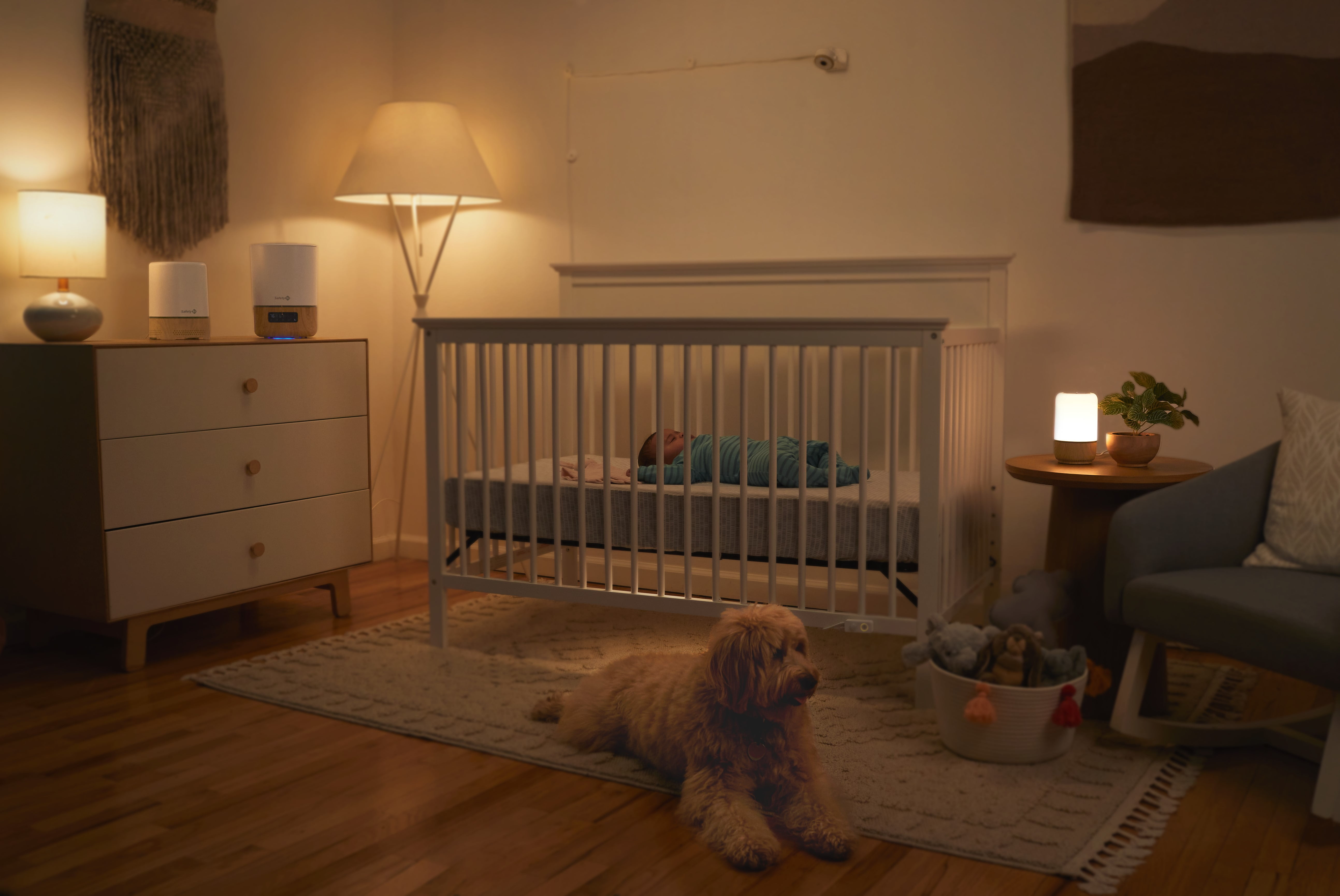 Safety 1ˢᵗ Smart Humidifier, Natural with White