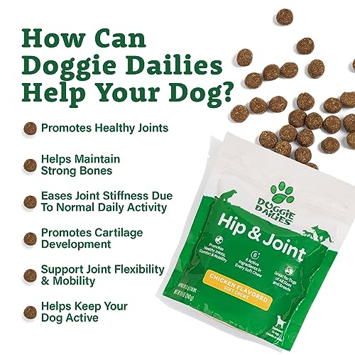 Premium Dog Joint Supplement with 120 Chews