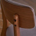 Molly Mid Century Modern Dark Grey Dining Chairs Set