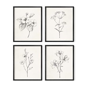 Framed Vintage Botanical Prints - Set of 4