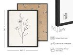 Framed Vintage Botanical Prints - Set of 4