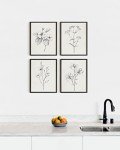 Framed Vintage Botanical Prints - Set of 4