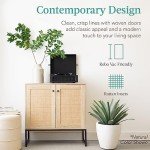 2-Door Rattan Storage Cabinet for Home Use