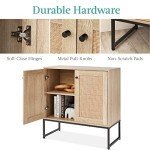 2-Door Rattan Storage Cabinet for Home Use
