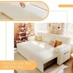 VanAcc Convertible Sofa Bed with Storage & Divan