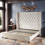 Cream Velvet Queen Bed Frame with Tall Headboard