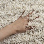 Ivory/Beige Moroccan Shag Rug for Home