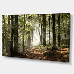 Green Fall Forest Canvas Art for Home Decor