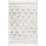 Light Grey Moroccan Tassel Area Rug - 8x11