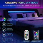 LED Queen Bed Frame with Adjustable Headboard in Black