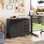 5-Drawer Wood Dresser Chest with Door - Black