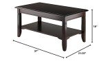 Winsome Nolan Cappuccino Composite Wood Coffee Table