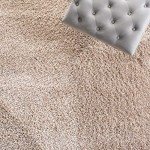 California Shag Area Rug - 8' x 10', Beige