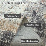 Soft and Washable 5x7 Area Rug for Living Room