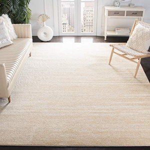Adirondack 9' x 12' Ombre Area Rug in Champagne