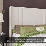Velvet Queen Bed Frame with Tufted Headboard