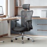 SIHOO M18 Ergonomic Office Chair with Adjustable Support