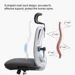 SIHOO M18 Ergonomic Office Chair with Adjustable Support