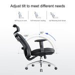 SIHOO M18 Ergonomic Office Chair with Adjustable Support