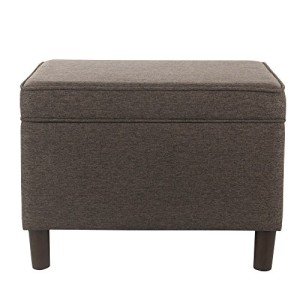Dinah Modern Storage Ottoman for Living Room