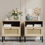 Set of 2 Boho Rattan Nightstands with Door