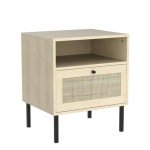 Set of 2 Boho Rattan Nightstands with Door