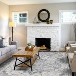 Soft Washable 8x10 Vintage Area Rug for Home