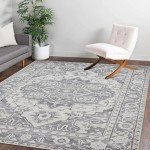Soft Washable 8x10 Vintage Area Rug for Home