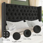 Jocisland Queen Velvet Upholstered Bed Frame