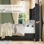 Jocisland Queen Velvet Upholstered Bed Frame