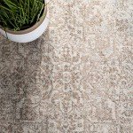 Ivory & Taupe 8' x 10' Distressed Area Rug