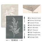 Botanical Plant Canvas Wall Art Set of 6