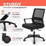 Ergonomic Swivel Office Desk Chair with Lumbar Support